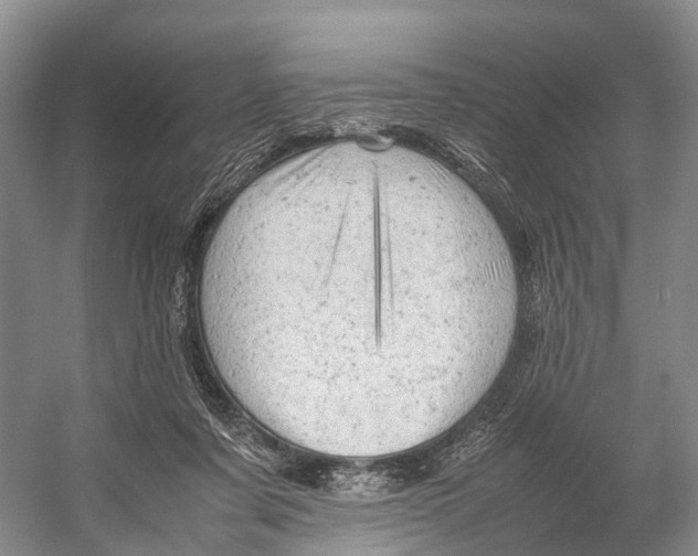 X0000053150311200508081417