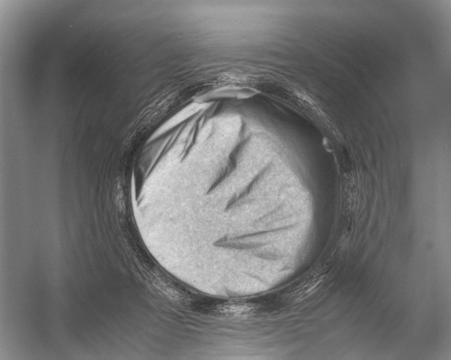 X0000053150313200508081417