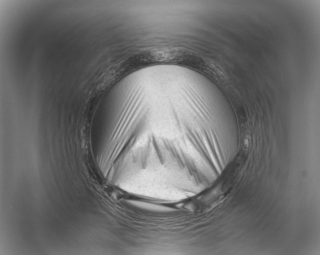 X0000053150317200508081417