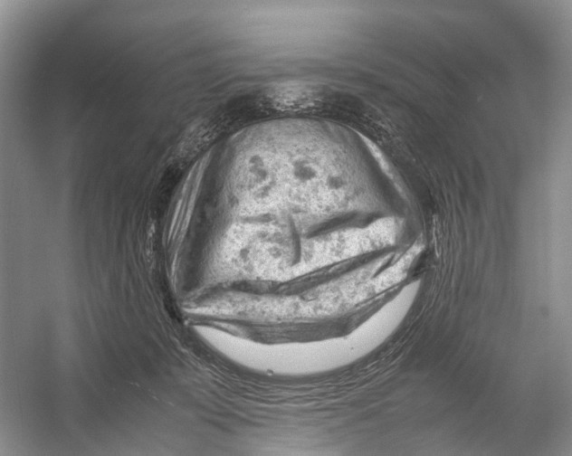 X0000053150319200508081417