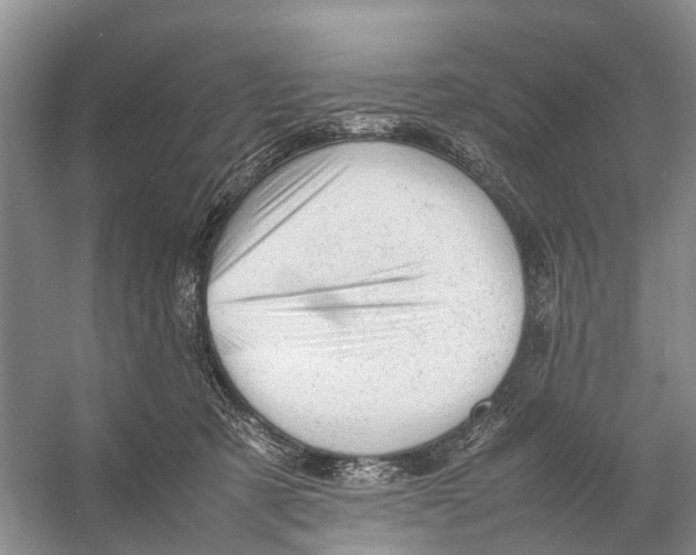 X0000053150321200508081417