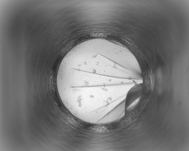 X0000053150322200508081417