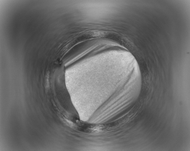 X0000053150325200508081417