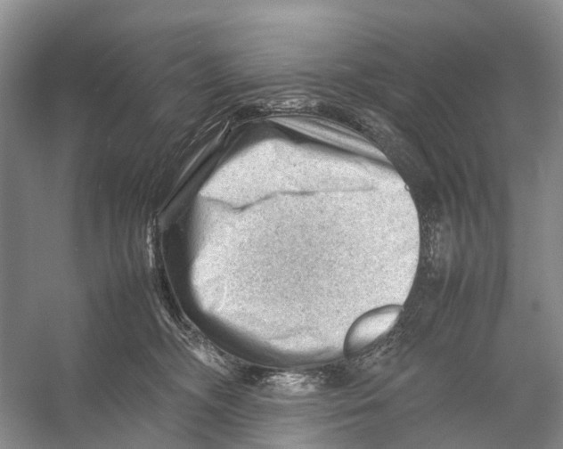 X0000053150326200508081417