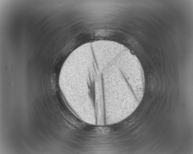 X0000053150328200508081417