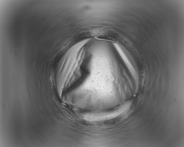 X0000053150329200508081417