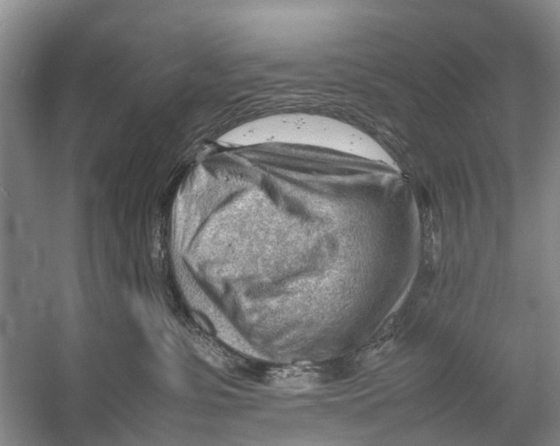 X0000053150331200508081417