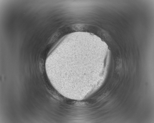 X0000053150332200508081417