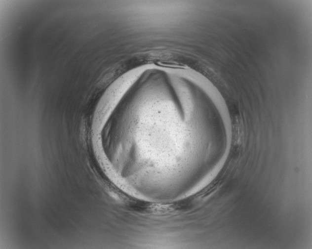 X0000053150333200508081417