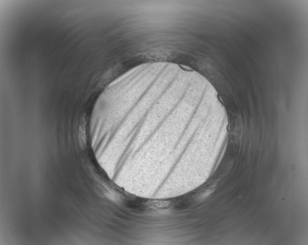 X0000053150334200508081417