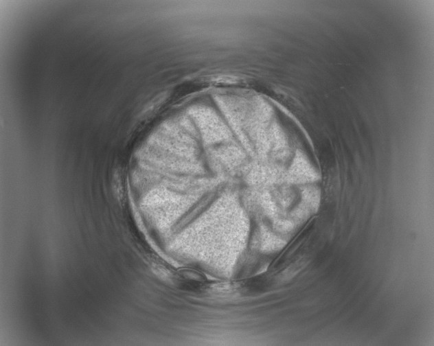 X0000053150335200508081417