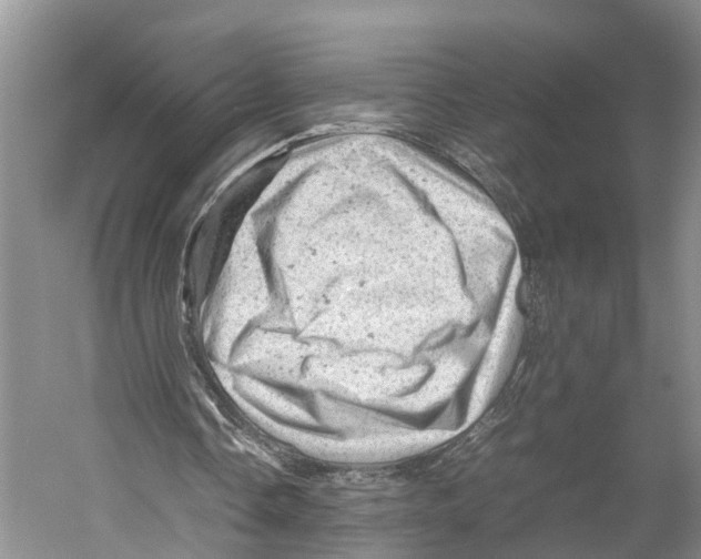 X0000053150338200508081416