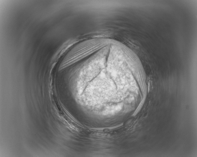 X0000053150339200508081416