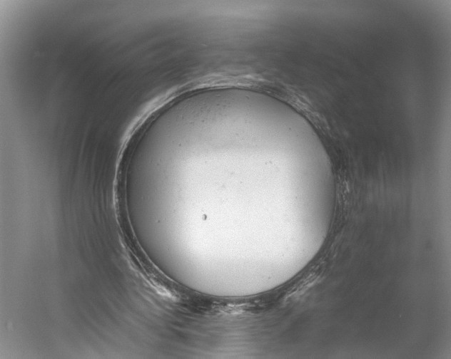 X0000053150340200508081416