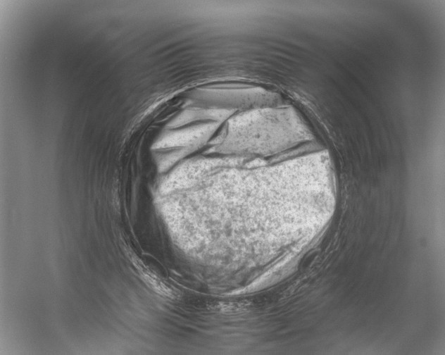 X0000053150345200508081416