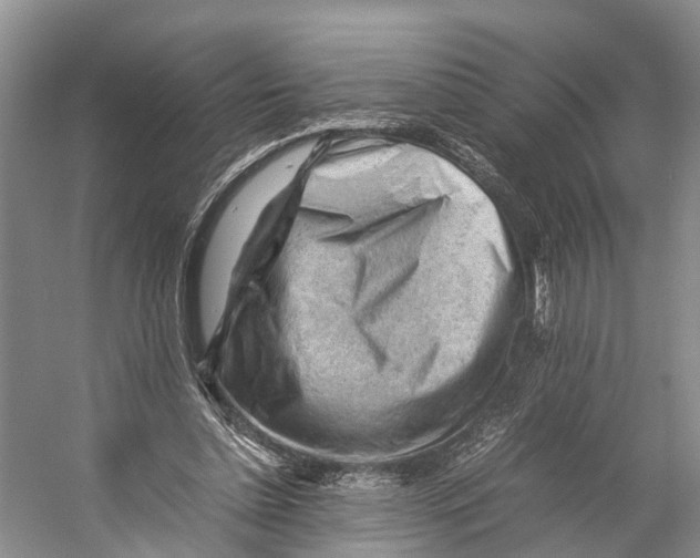 X0000053150348200508081416