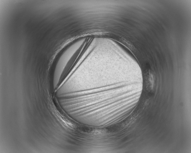 X0000053150350200508081416