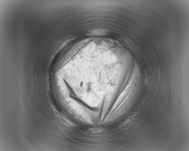 X0000053150351200508081416