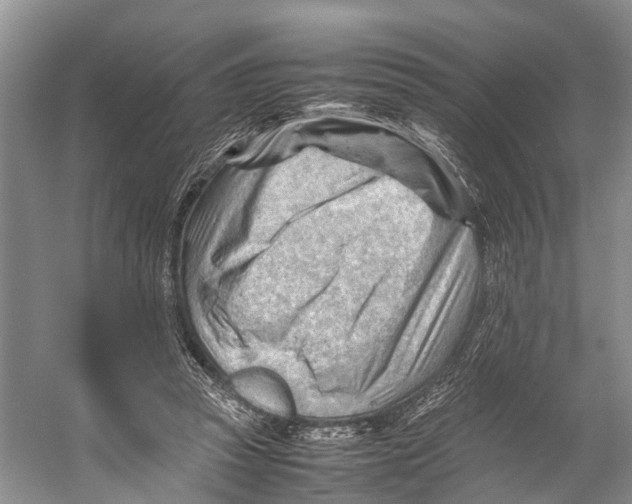 X0000053150353200508081416