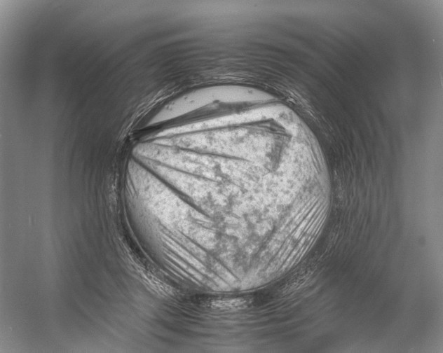 X0000053150357200508081416