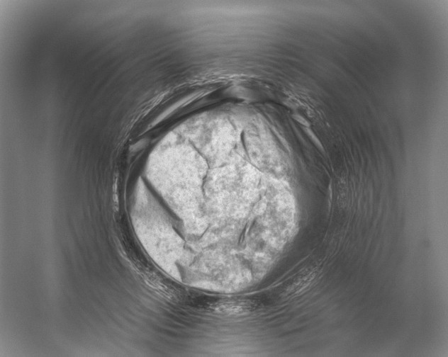 X0000053150358200508081416