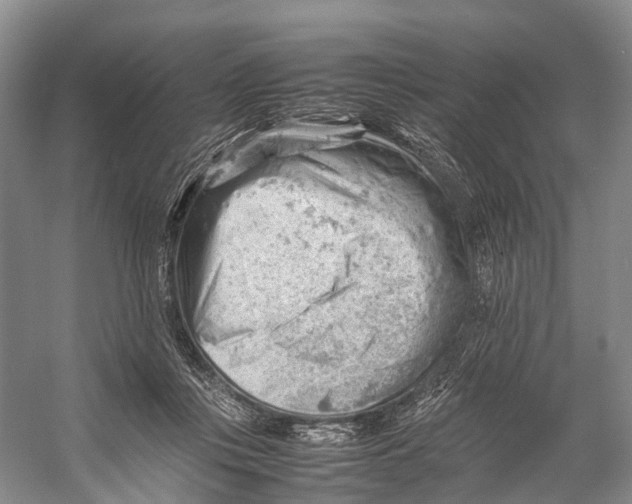 X0000053150359200508081416