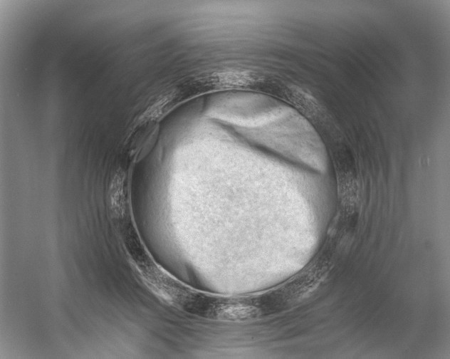 X0000053150360200508081416