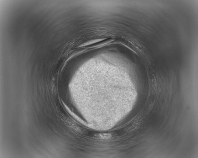 X0000053150361200508081416