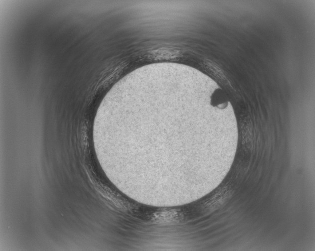 X0000053150362200508081416