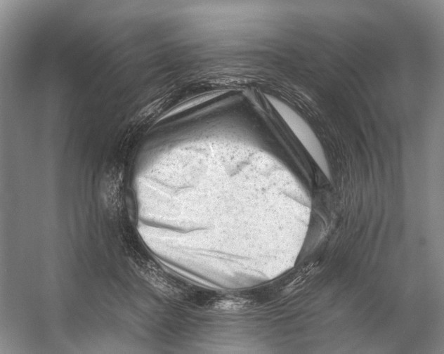 X0000053150364200508081416