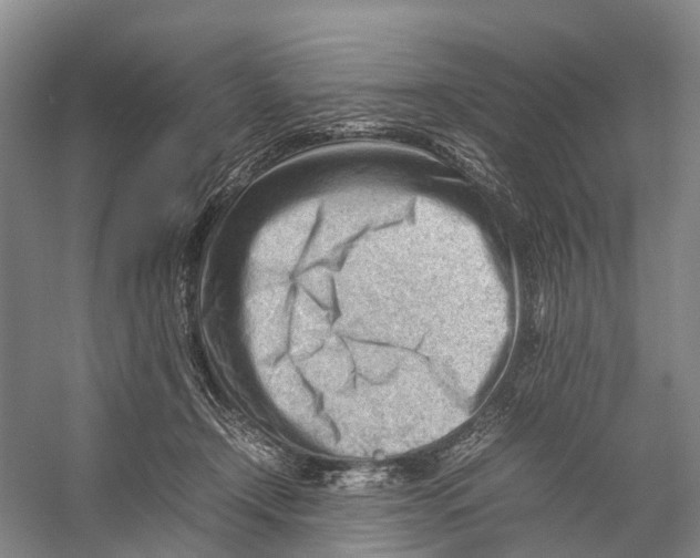 X0000053150366200508081416