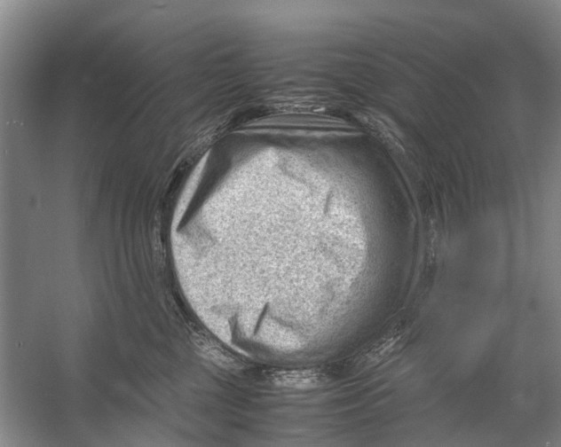 X0000053150377200508081417