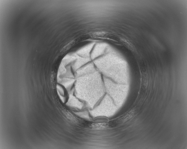 X0000053150378200508081417