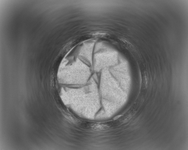 X0000053150379200508081417