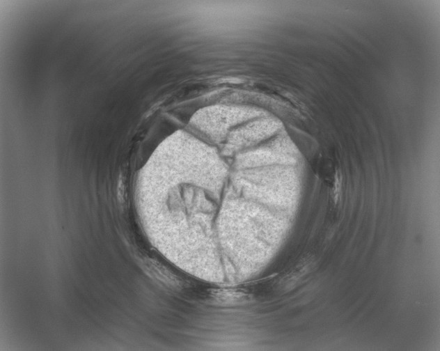 X0000053150380200508081417