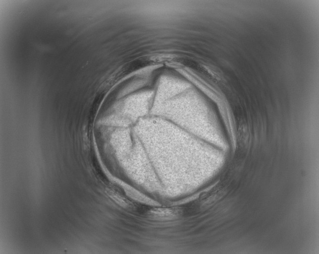 X0000053150381200508081417