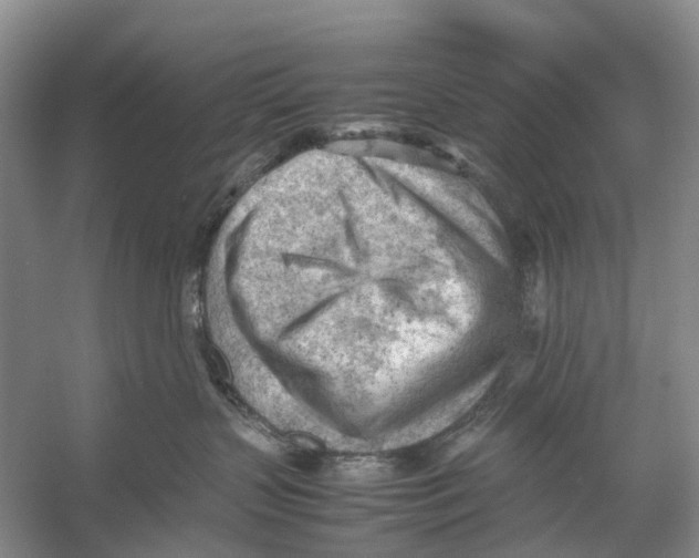 X0000053150383200508081417