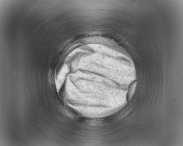 X0000053150384200508081417