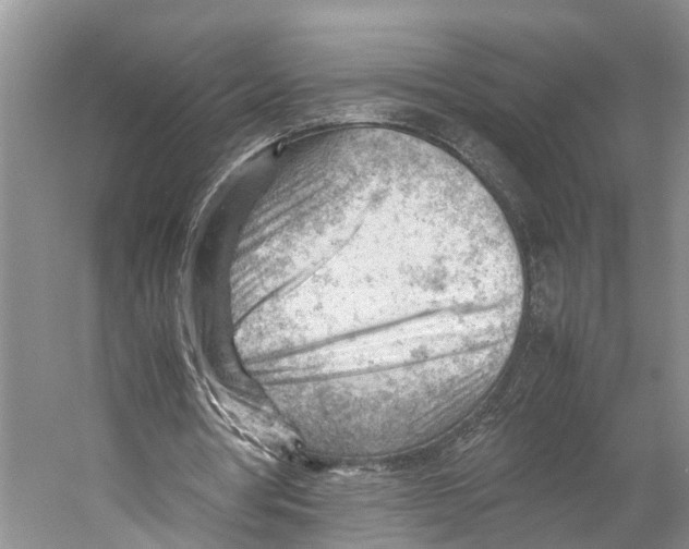 X0000053150386200508081416