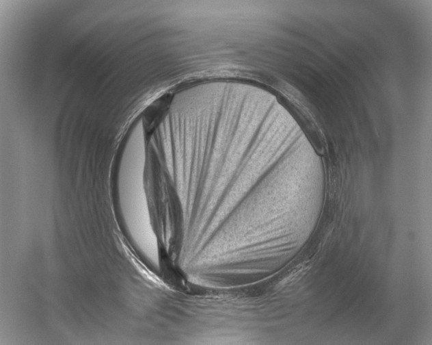 X0000053150389200508081416