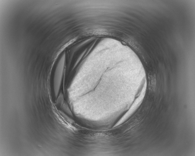 X0000053150390200508081416