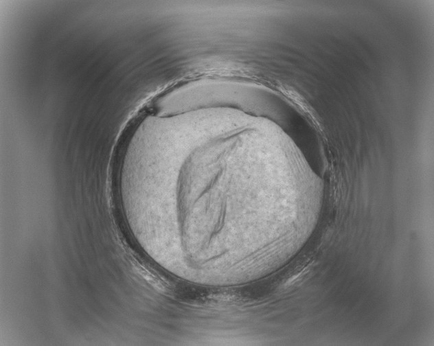 X0000053150391200508081416