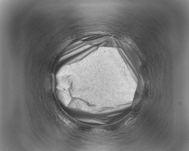 X0000053150393200508081416