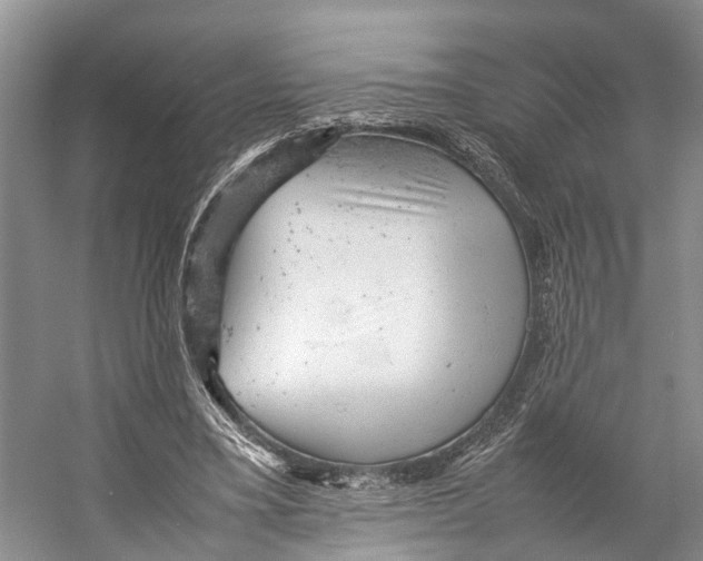 X0000053150395200508081416