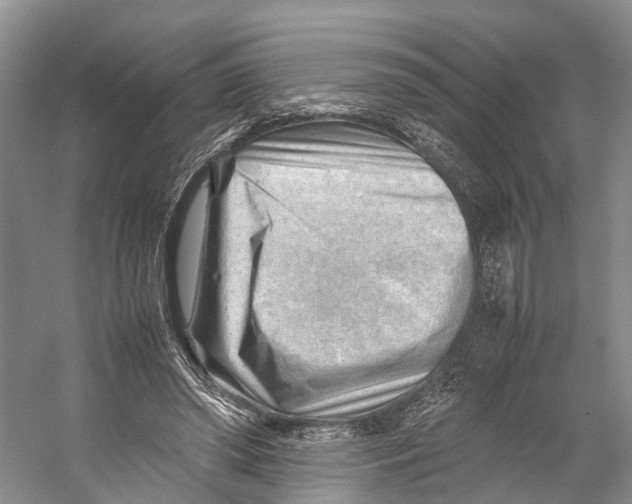 X0000053150398200508081416