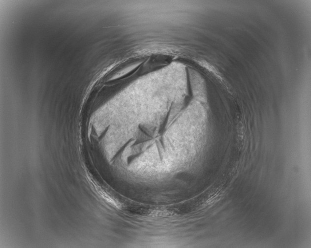 X0000053150399200508081416