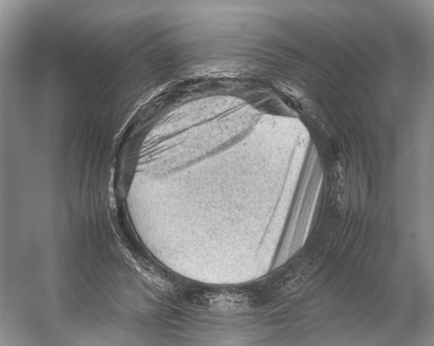 X0000053150400200508081416