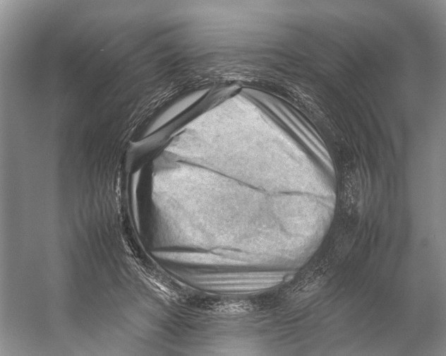 X0000053150402200508081416