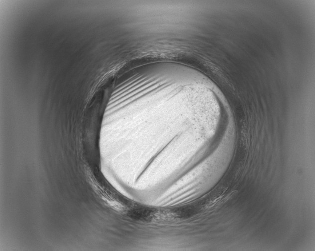 X0000053150403200508081416