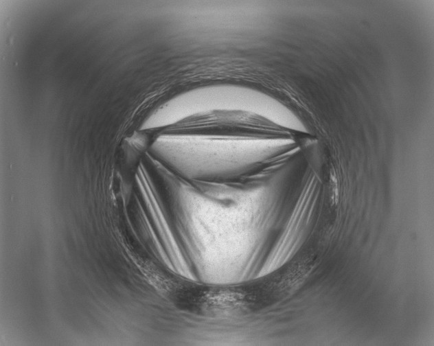 X0000053150407200508081416